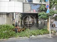 エントランス脇には植栽が緑を添えています