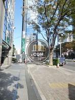 街路樹のある通り