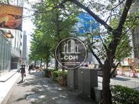 街路樹が綺麗な街並み