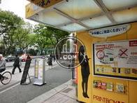 正面通りから入りやすい雰囲気です