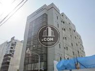 晴れの日は特に、輝いて見えます