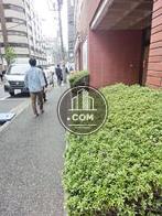 ビル周辺は植樹されています