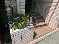 正面入口階段です