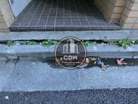 入り口前に段差があります
