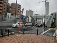 山手通りです