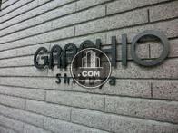 ＧＲＡＰＨＩＯ　shibuya