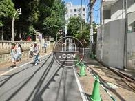 自然を感じられる道