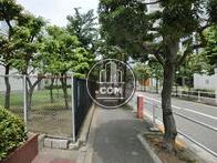 街路樹が立ち並んでいます