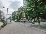 敷地内は緑に溢れています