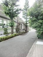 街路樹のある通り