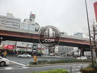 玄関正面の景色