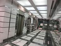 エレベーターホールも長く取られています