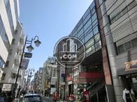 遠くからでも存在感が際立っています