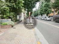 街路樹の立ち並ぶ通り