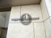 六本木イグノポール / roppongi ignoppor