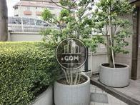 入口前は植栽で整えられています