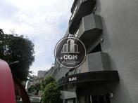 横から見た様子です