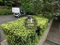 植木の中に照明があります