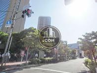 街路樹の立ち並ぶ脇道