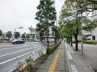 街路樹のある通り