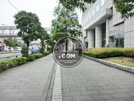 歩道幅の広い環境