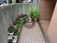 入口付近です