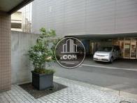 敷地内に植栽が置かれています