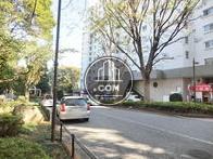 街路樹のある前面行動