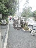 街路樹のある通り