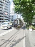 玄関前の歩道