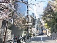 背面通りには桜並木があります