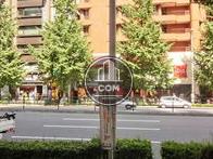 緑で溢れた通り