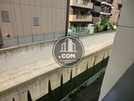 裏手には小川が流れます