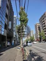 緑の多い通りです