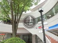 植木のある玄関回り