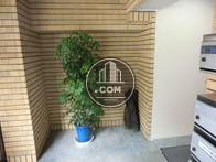エントランス内に植栽