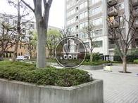 植栽が点在する広い敷地内