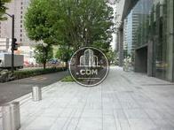 綺麗に整備されている歩道