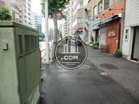 街路樹の並んだ、歩きやすい場所です