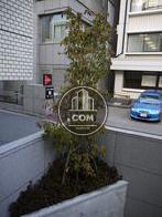 階段にある植栽2