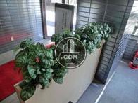 植栽