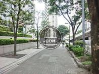 きれいな街路樹が立ち並ぶ通り