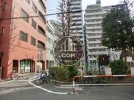 緑が豊富で気持ち良いですね