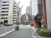 街路樹も点在しています
