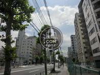 街路樹が綺麗に並ぶ通り沿いです