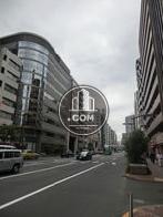 目白通り沿いです