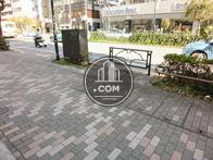 目の前の歩道の様子です