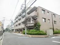 背面通り