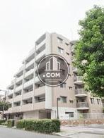 全面採光可能です