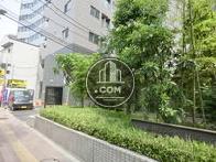 敷地内は緑が豊富です